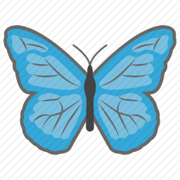 <em>蝴蝶</em>