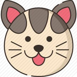 猫