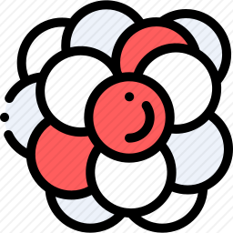 核