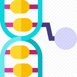 DNA