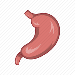 胃