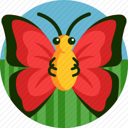 <em>蝴蝶</em>