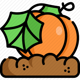 <em>南瓜</em>