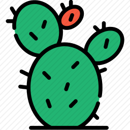 <em>仙人掌</em>