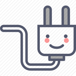 <em>插头</em>