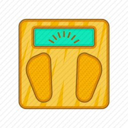 <em>体重秤</em>