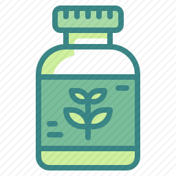草本植物