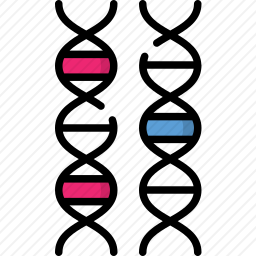 DNA