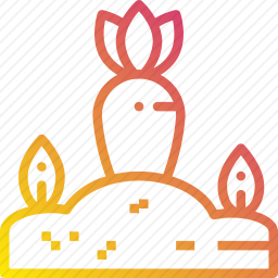 胡萝卜