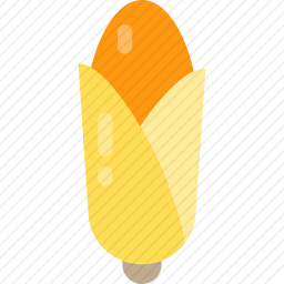 玉米