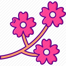 樱花