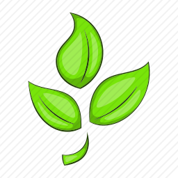植物