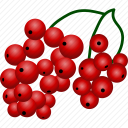 醋栗