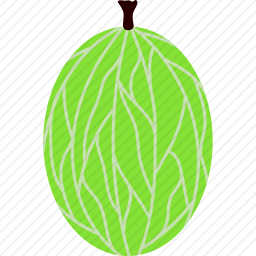 醋栗