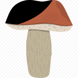 蘑菇
