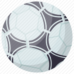 <em>足球</em>