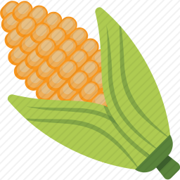 玉米