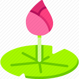 <em>莲花</em>