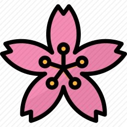 樱花