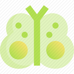 <em>蝴蝶</em>