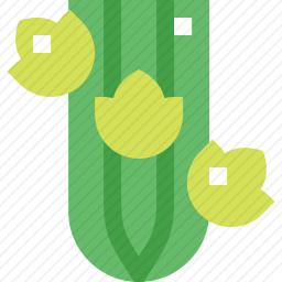 <em>芹菜</em>