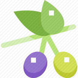 <em>橄榄</em>