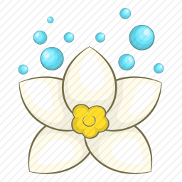 水疗花朵