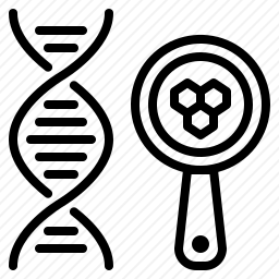 DNA分子