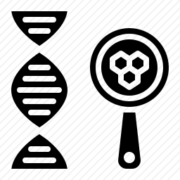 DNA分子
