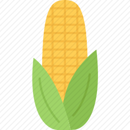 玉米