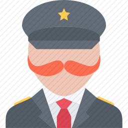 上将
