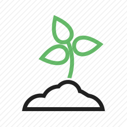 <em>发芽</em>