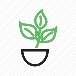 盆栽