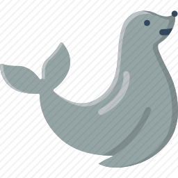 海豹