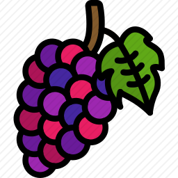 <em>葡萄</em>