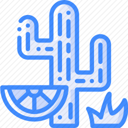 <em>仙人掌</em>