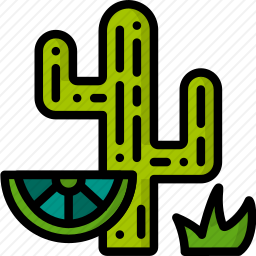 <em>仙人掌</em>