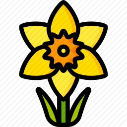 水仙花