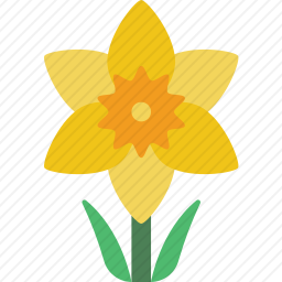 水仙花