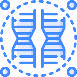 DNA