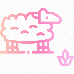 羊