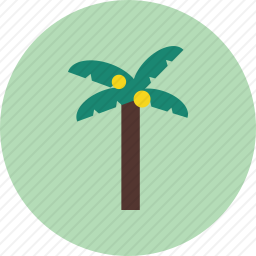 椰子树