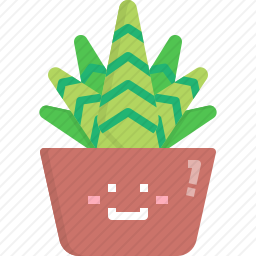 芦荟