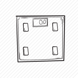 <em>体重秤</em>