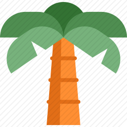<em>棕榈树</em>