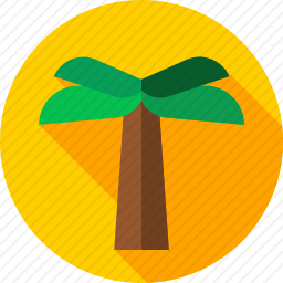 <em>棕榈树</em>