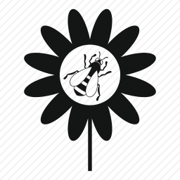 蜜蜂