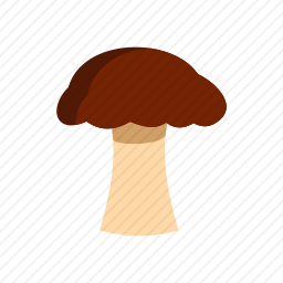蘑菇