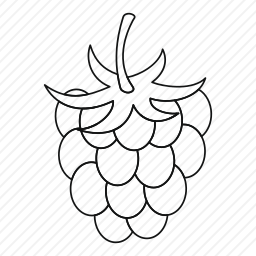 <em>葡萄</em>