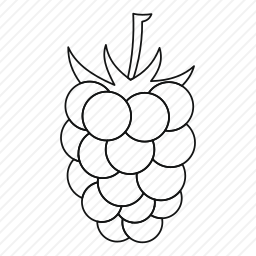 <em>葡萄</em>